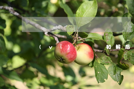 醫(yī)療糾紛和解后能反悔嗎？